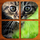 Kitty Cat Puzzle (FREE) APK