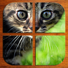 Kitty Cat Puzzle (FREE) アイコン