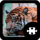 Tiger Jigsaw Puzzle icône