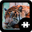 APK Tiger Jigsaw Puzzle