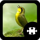 APK Bird Jigsaw Puzzle