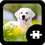 Dog Jigsaw Puzzle icône