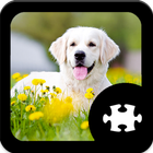 Dog Jigsaw Puzzle ikona