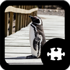 Penguin puzzle icon