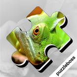 Jigsaw Puzzles: Amazing