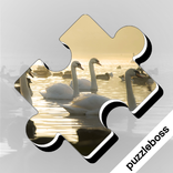 Jigsaw Puzzles: Animals