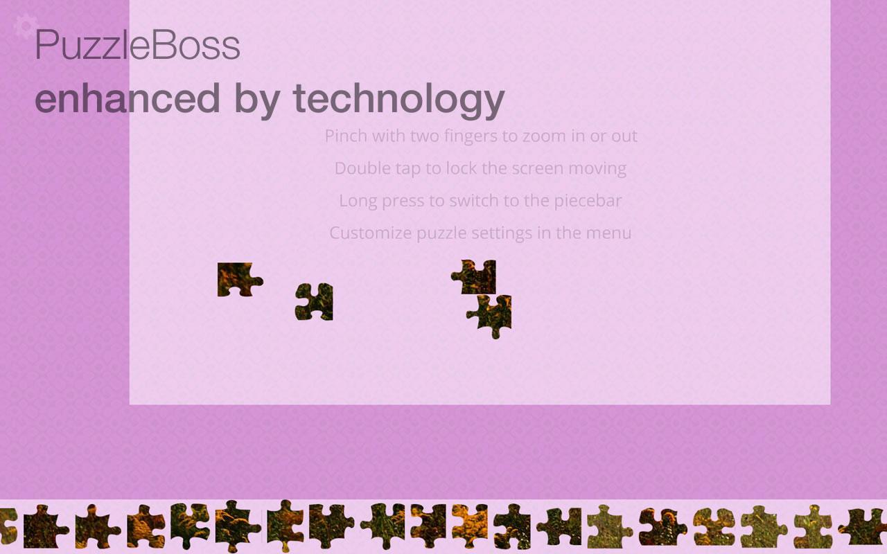 The Ultimate Jigsaw Puzzle перевод. Enhanced bosses