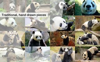 Jigsaw Puzzles: Pandas Ekran Görüntüsü 2