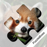 Jigsaw Puzzles: Wild Animals