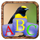 APK ABC Quiz - Guess The Word