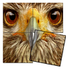 Animal Puzzle Game APK