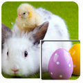 Rabbit Puzzle Game