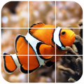 Fishes Puzzle
