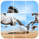 Pureblood horse jigsaw APK