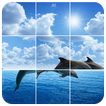 Marine Dolphins Puzzles