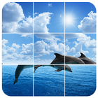 Marine Dolphins Puzzles icône