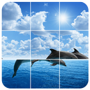 Marine Dolphins Puzzles APK