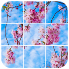 Spring Scenery Puzzles icône