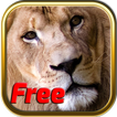 Free Africa Animal Puzzle Game