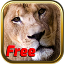 Free Africa Animal Puzzle Game APK