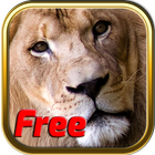 Free Africa Animal Puzzle Game ícone