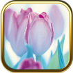 Free Purple Flower Puzzle Game