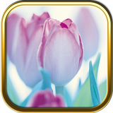 Free Purple Flower Puzzle Game icône