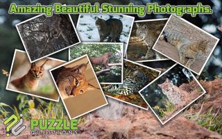 Free Wild Cats Puzzles screenshot 1