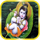 Krishna Bhajan HD APK