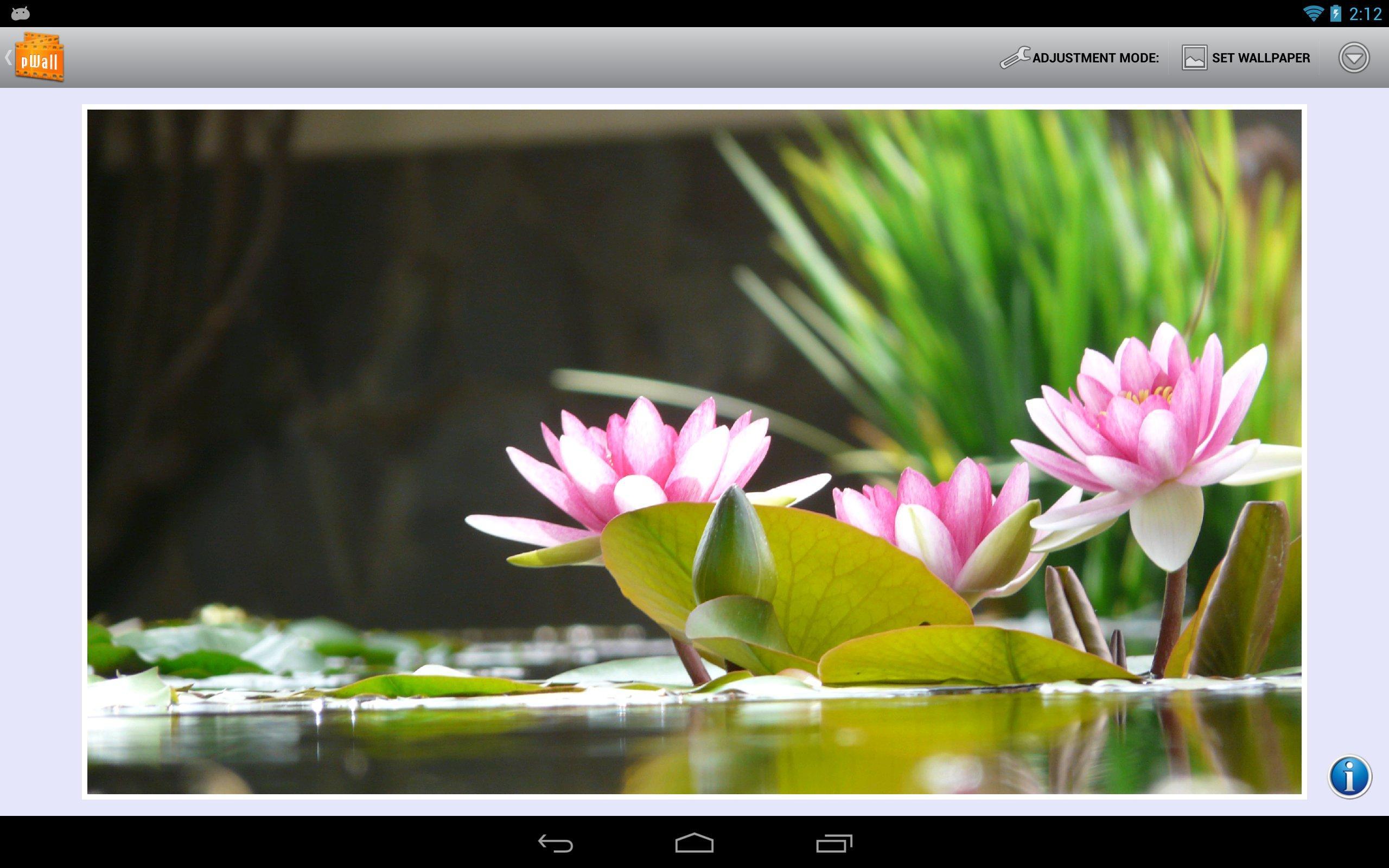 Background changer for Android - APK Download