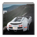 The Sports Car Theme APK