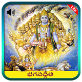 Bhagavad Gita in Telugu Audio 图标