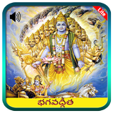 Bhagavad Gita in Telugu Audio أيقونة