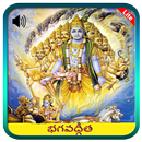 Bhagavad Gita in Telugu Audio APK