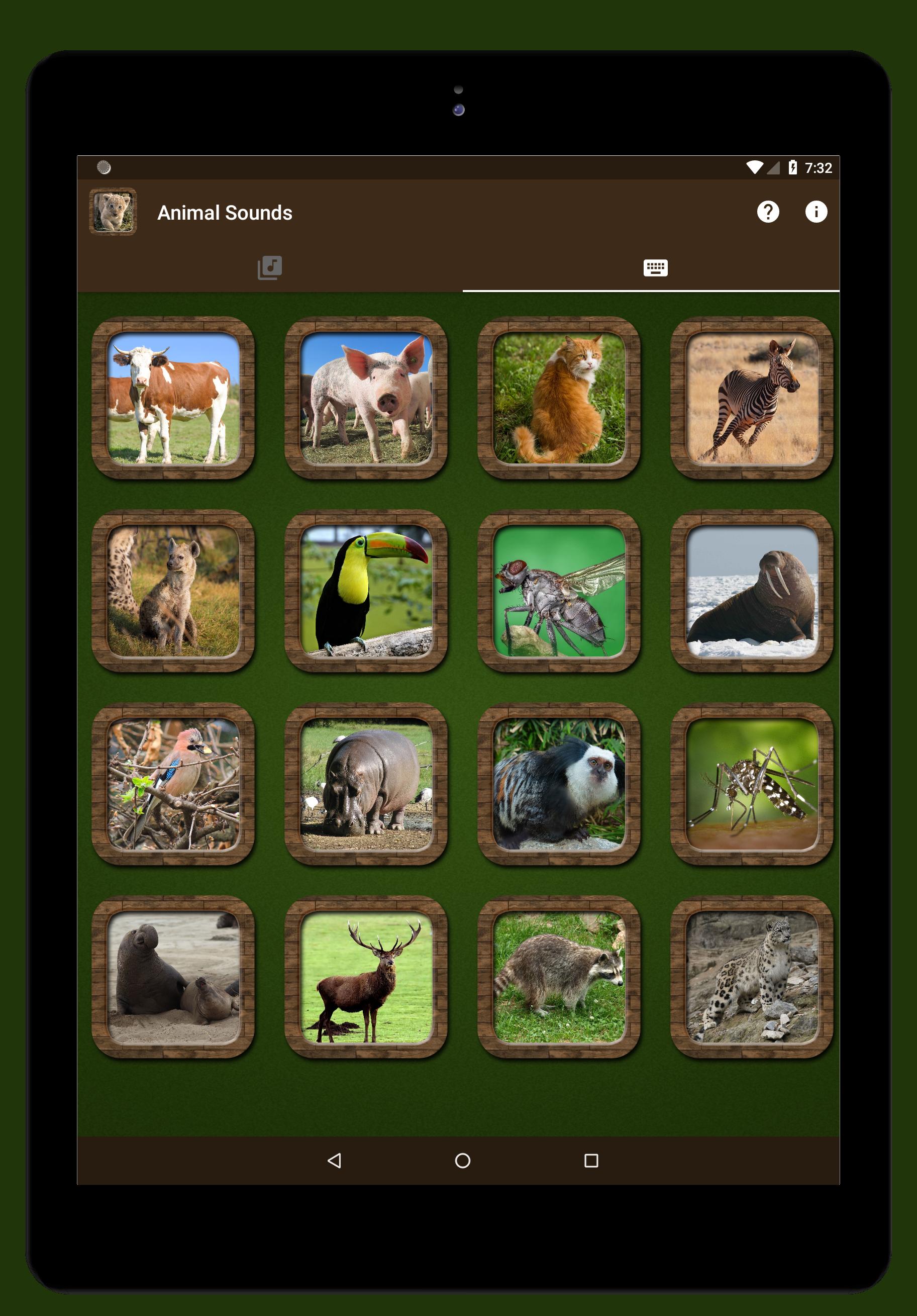 Animal Sounds APK for Android Download