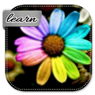 Learn How To Make Flowers أيقونة