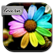 ”Learn How To Make Flowers