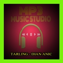 Kumpulan Lagu Dian Anic Mp3 APK