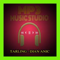 Kumpulan Lagu Dian Anic Mp3 Ekran Görüntüsü 1