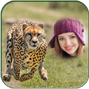 Animal Photo Frames APK