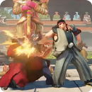 Street Fighter Walkthrough APK