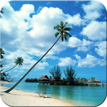 Maldives Live wallpaper Free