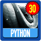 Python Wallpaper HD Complete icône