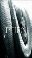 Python Wallpaper HD Complete Affiche