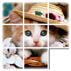 Kids Cat Slide Puzzle icône