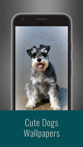 Wallpaper anjing lucu for Android - APK Download