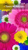 Flowers Wallpapers UHD 4K Affiche