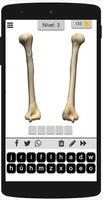 Quiz Huesos del Cuerpo Humano 截图 3