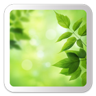 Leaves - Bokeh Live Wallpaper simgesi