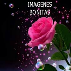 IMAGENES BONITAS icon